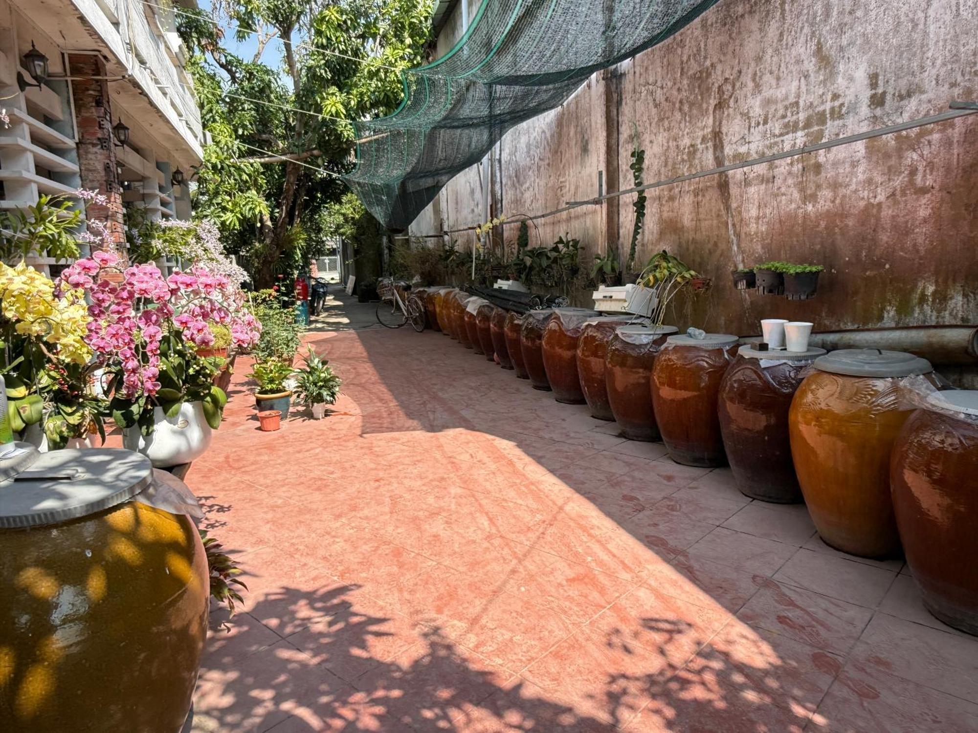 Island Homestay Tien Giang Mỹ Tho Exterior photo