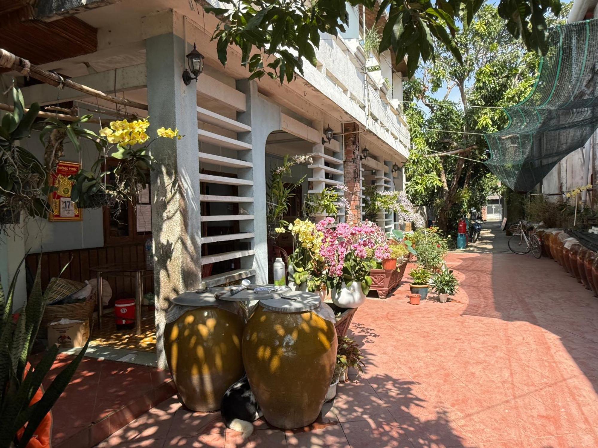Island Homestay Tien Giang Mỹ Tho Exterior photo
